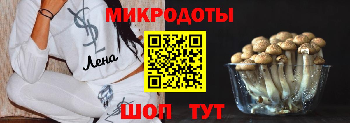 Псилоцибиновые грибы Cubensis  Вход с VPN  Галлюциногенные грибы ЛСД  Воронеж 